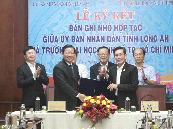 cá cược thể thao hul city